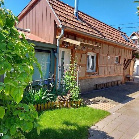 فيلا Oasis D'Alsace Valff المظهر الخارجي الصورة